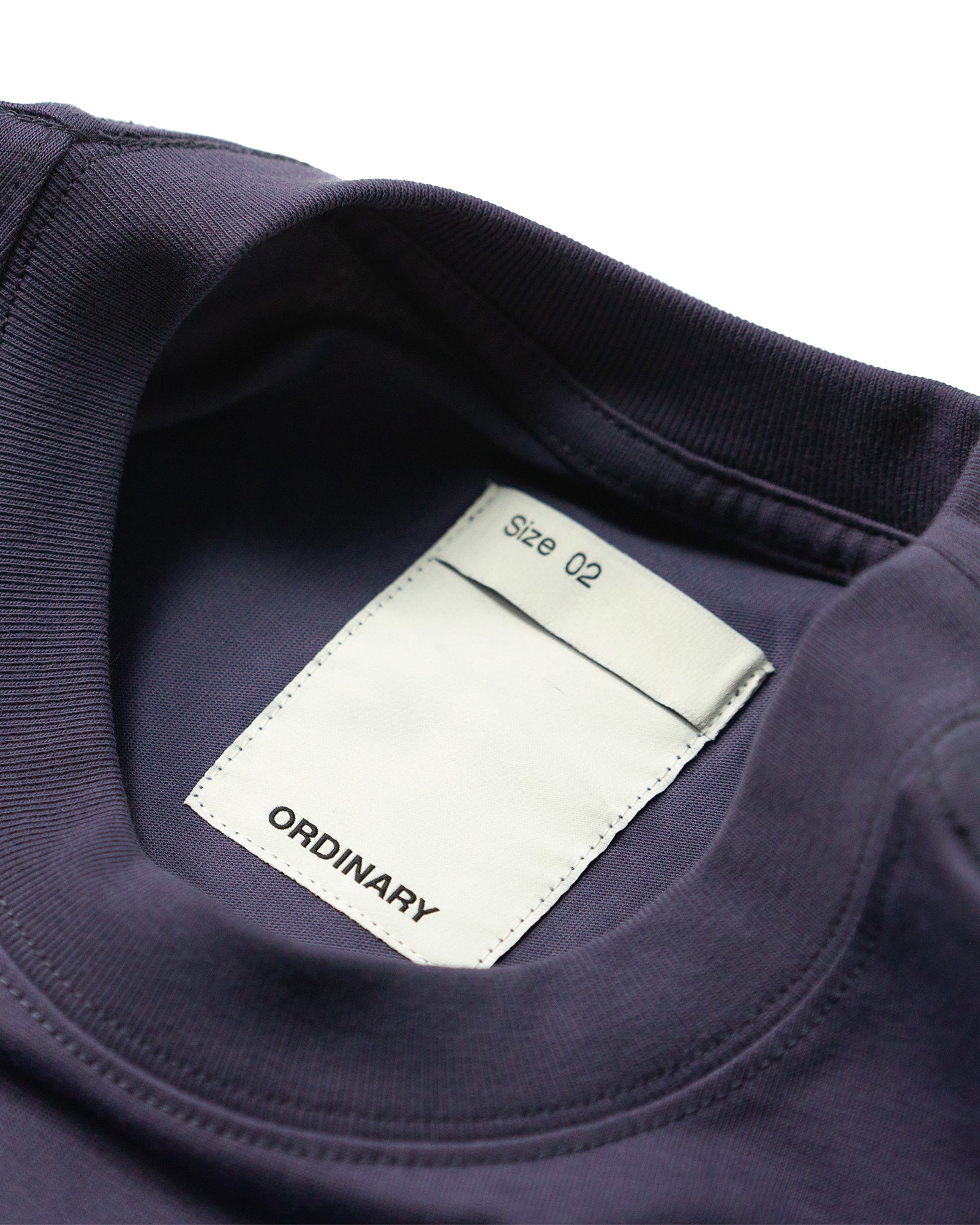 A Eckhaus Latta Shirt pictured on a model in front of a white background. The title of the product is Eckhaus Latta Eclipse Turtleneck - Stone and the image was taken by 199A®.