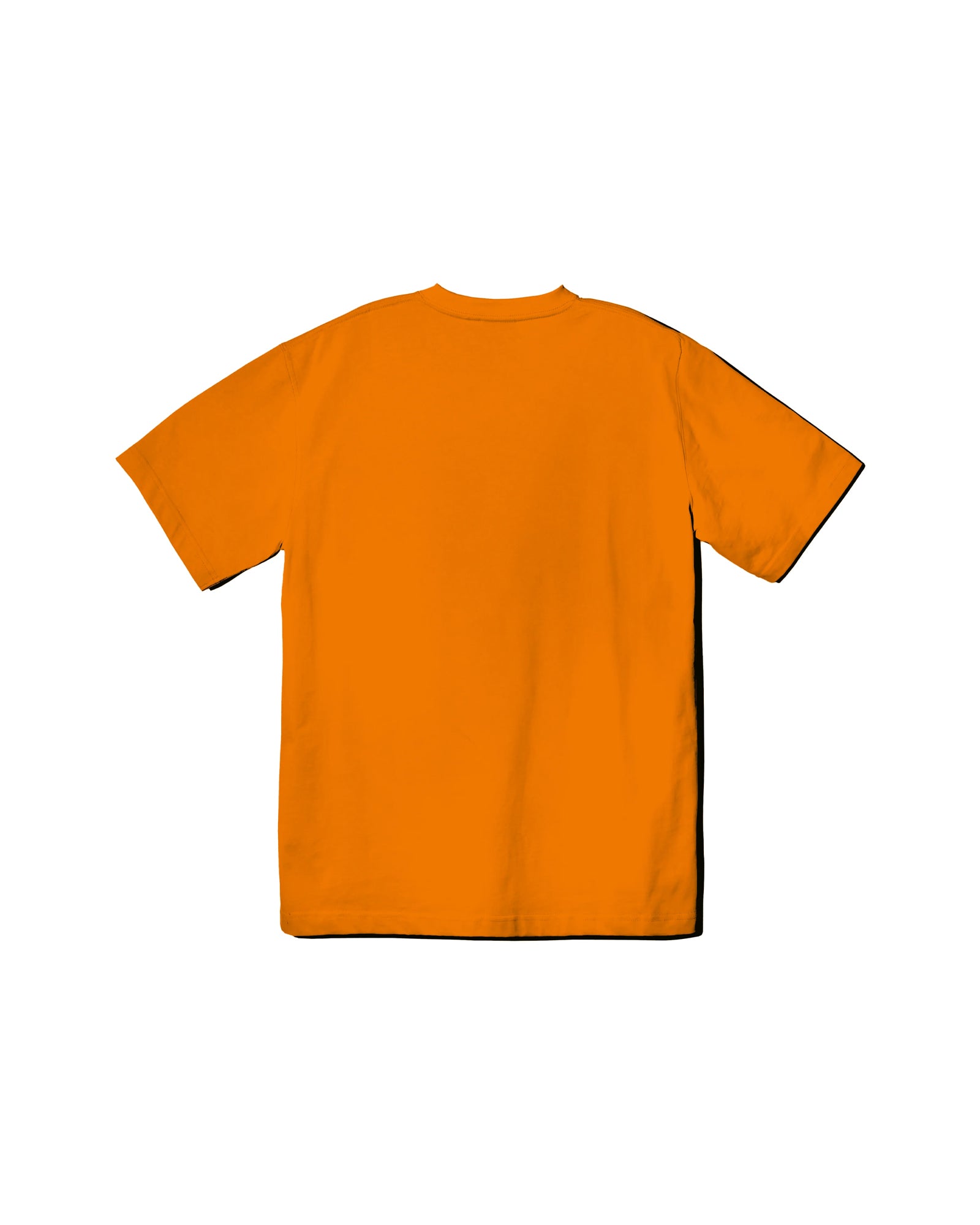 A Eckhaus Latta Shirt pictured on a model in front of a white background. The title of the product is Eckhaus Latta Eclipse Turtleneck - Stone and the image was taken by 199A®.