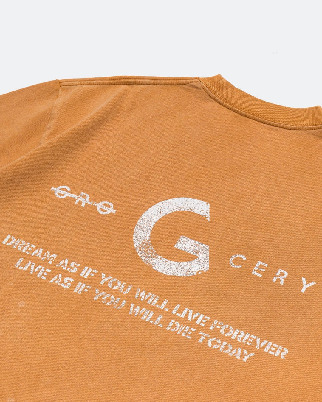 A Eckhaus Latta Shirt pictured on a model in front of a white background. The title of the product is Eckhaus Latta Eclipse Turtleneck - Stone and the image was taken by 199A®.