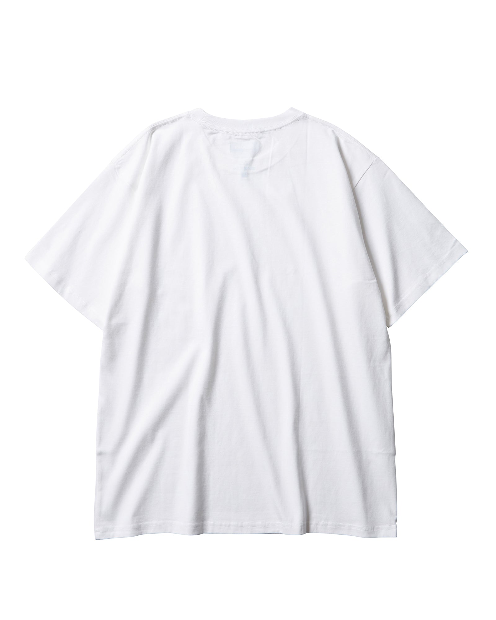 A Eckhaus Latta Shirt pictured on a model in front of a white background. The title of the product is Eckhaus Latta Eclipse Turtleneck - Stone and the image was taken by 199A®.