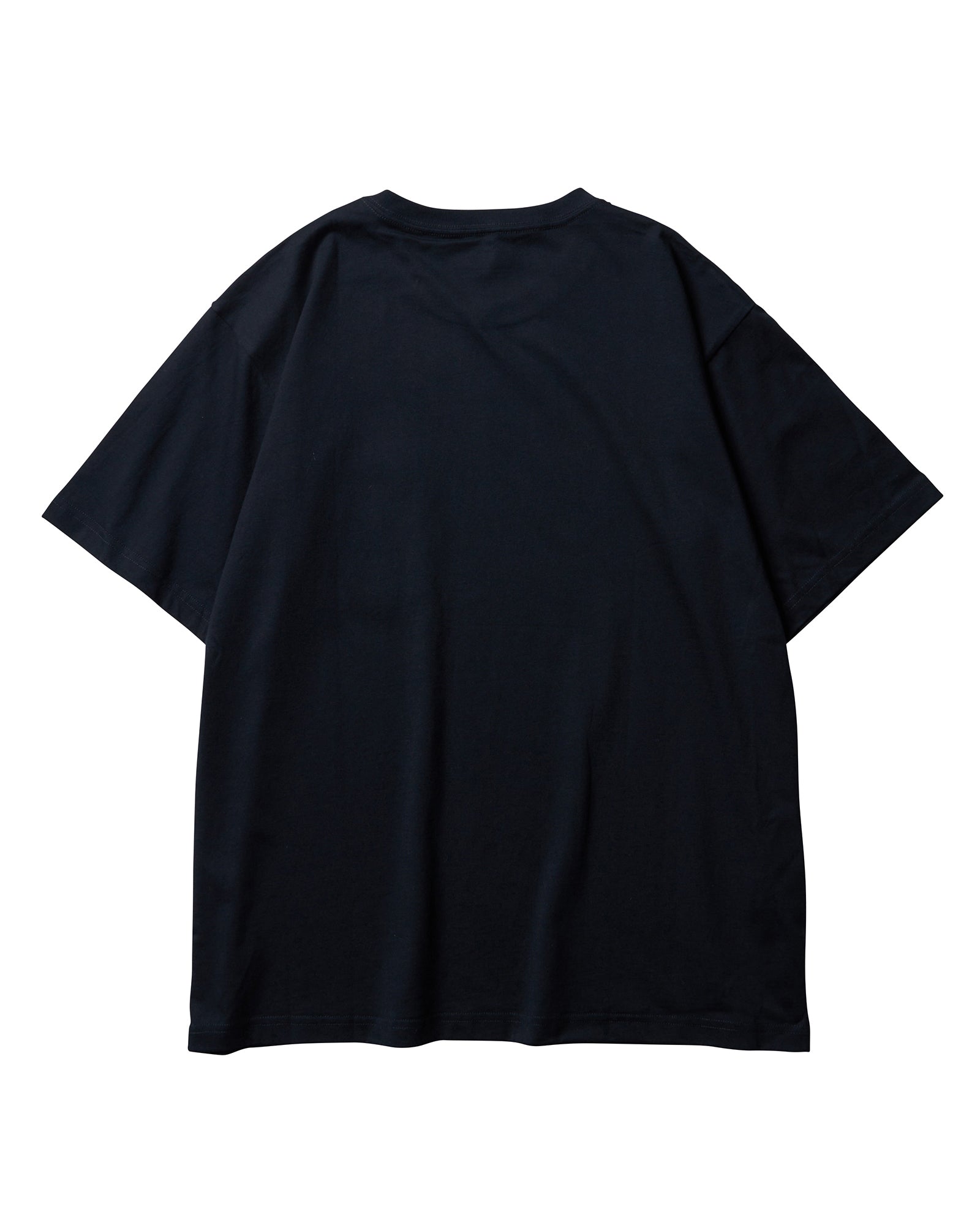 A Eckhaus Latta Shirt pictured on a model in front of a white background. The title of the product is Eckhaus Latta Eclipse Turtleneck - Stone and the image was taken by 199A®.