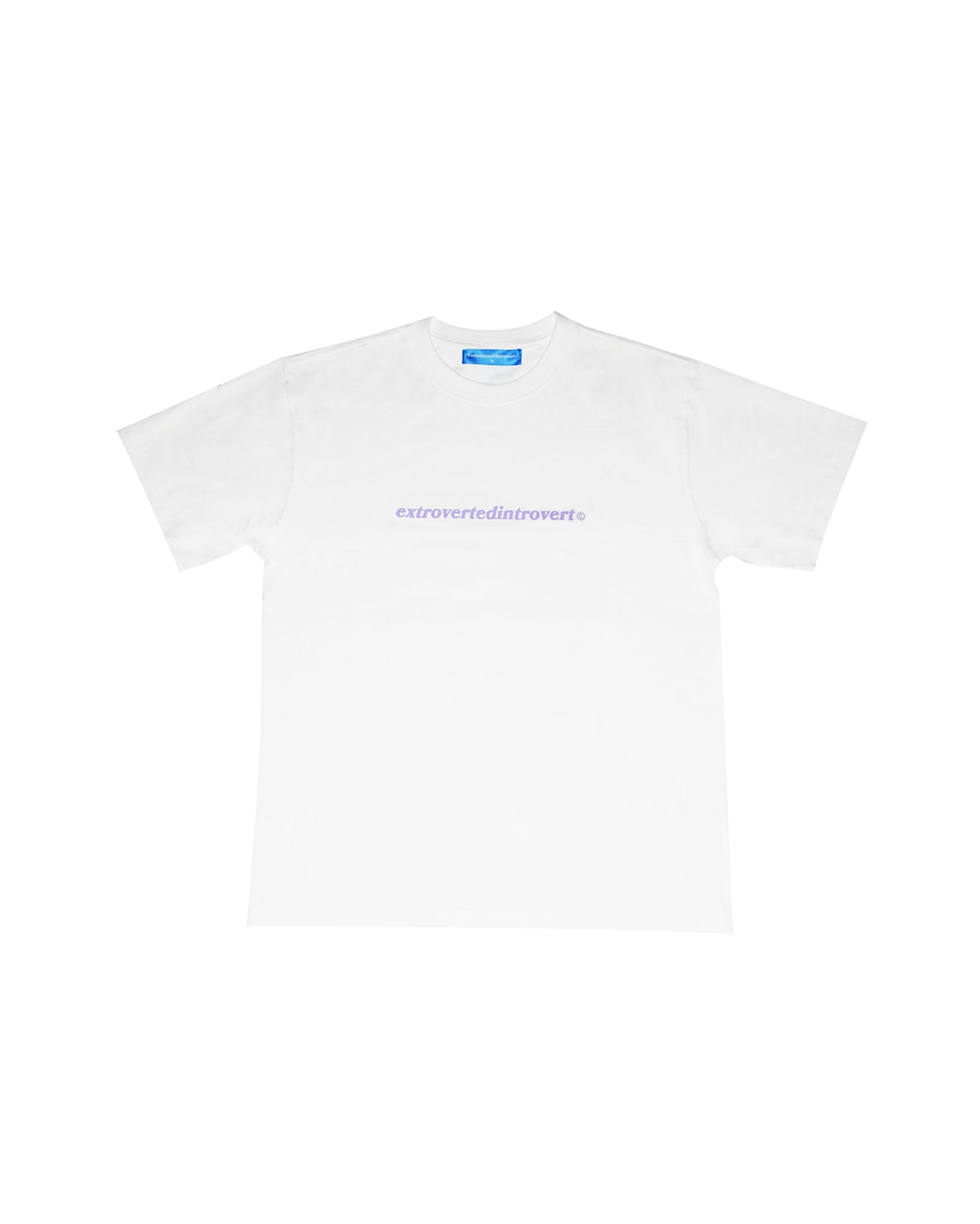 A Eckhaus Latta Shirt pictured on a model in front of a white background. The title of the product is Eckhaus Latta Eclipse Turtleneck - Stone and the image was taken by 199A®.