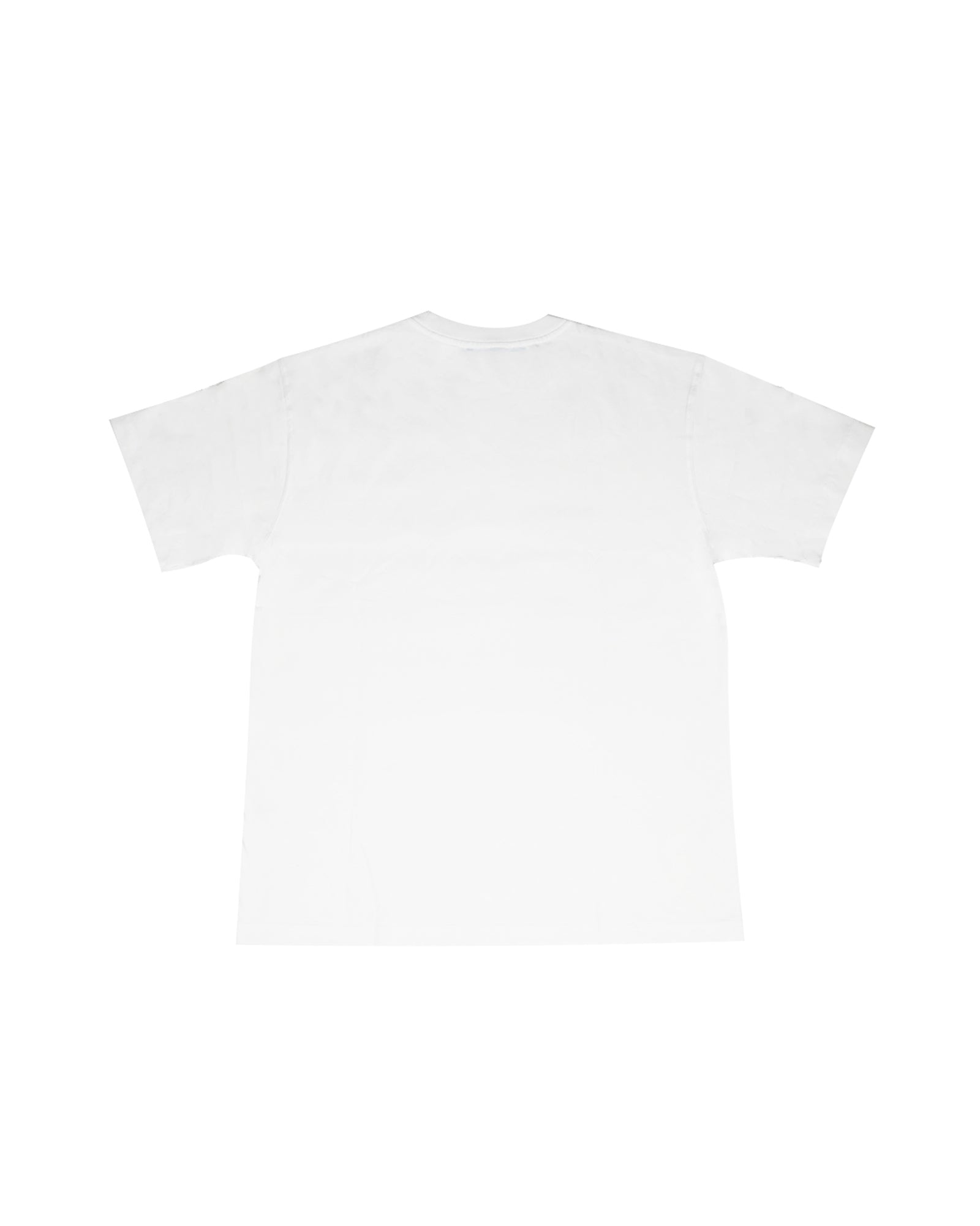 A Eckhaus Latta Shirt pictured on a model in front of a white background. The title of the product is Eckhaus Latta Eclipse Turtleneck - Stone and the image was taken by 199A®.