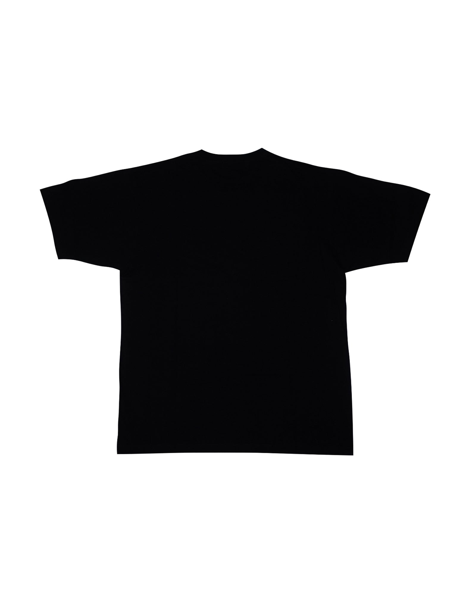 A Eckhaus Latta Shirt pictured on a model in front of a white background. The title of the product is Eckhaus Latta Eclipse Turtleneck - Stone and the image was taken by 199A®.