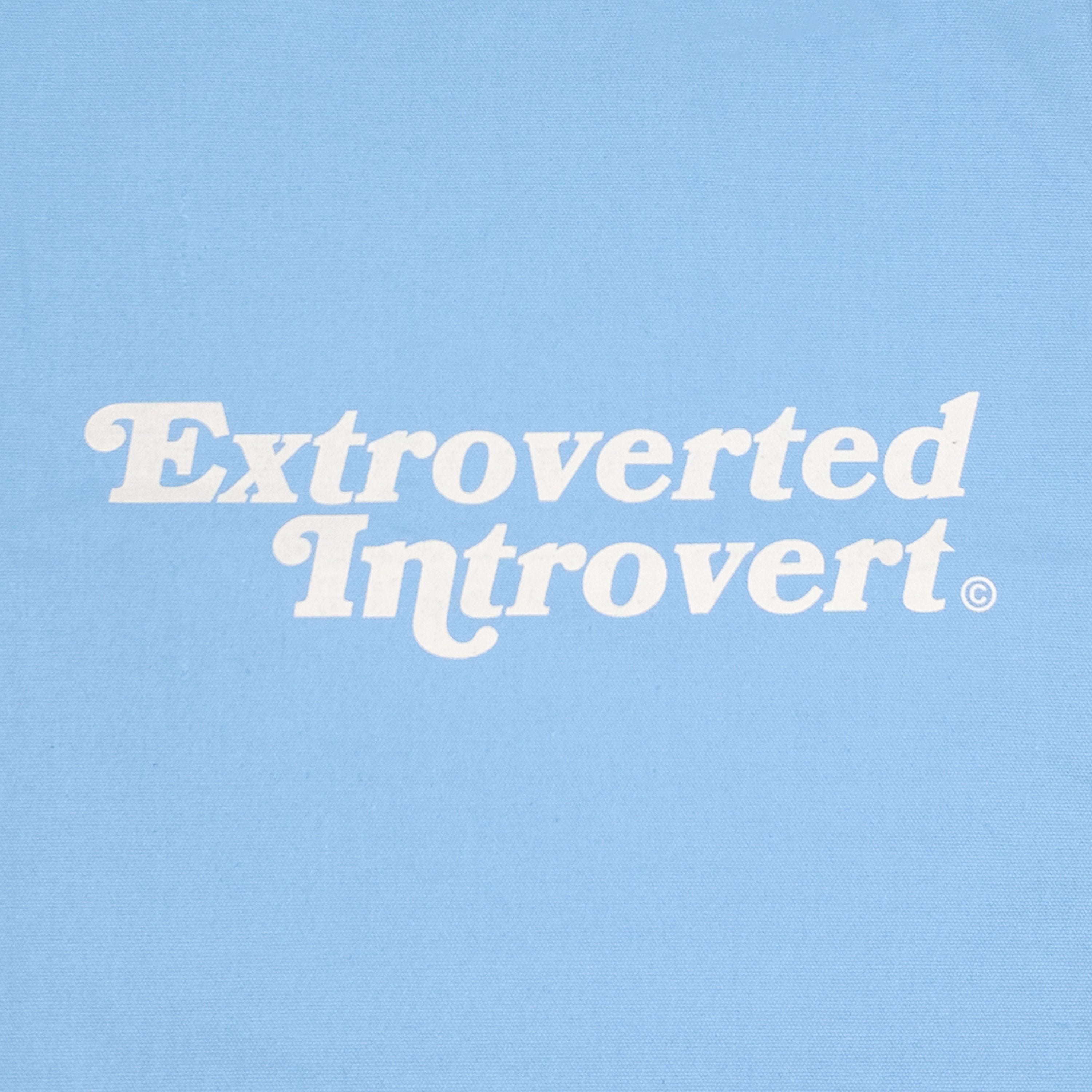 A Eckhaus Latta Shirt pictured on a model in front of a white background. The title of the product is Eckhaus Latta Eclipse Turtleneck - Stone and the image was taken by 199A®.