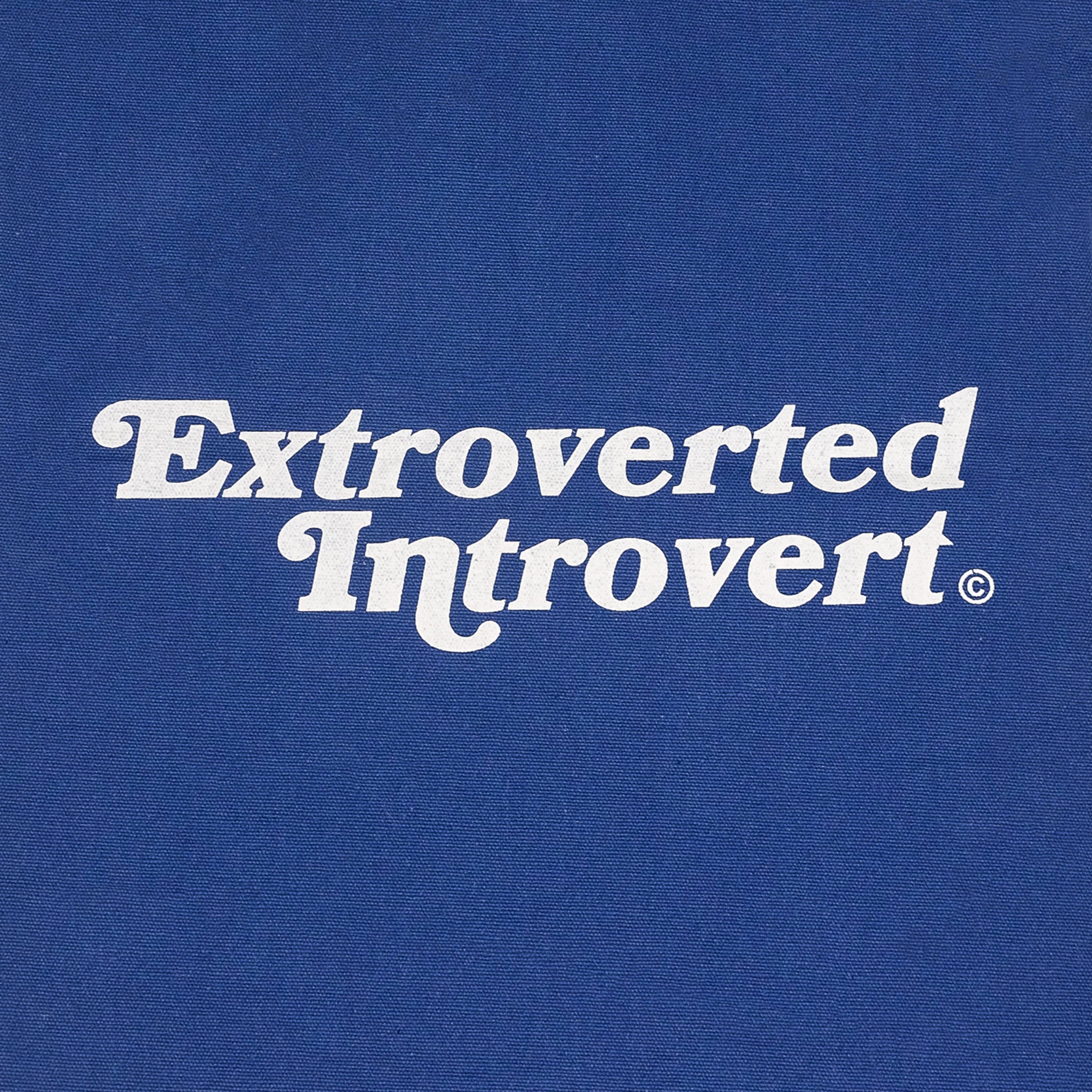 A Eckhaus Latta Shirt pictured on a model in front of a white background. The title of the product is Eckhaus Latta Eclipse Turtleneck - Stone and the image was taken by 199A®.