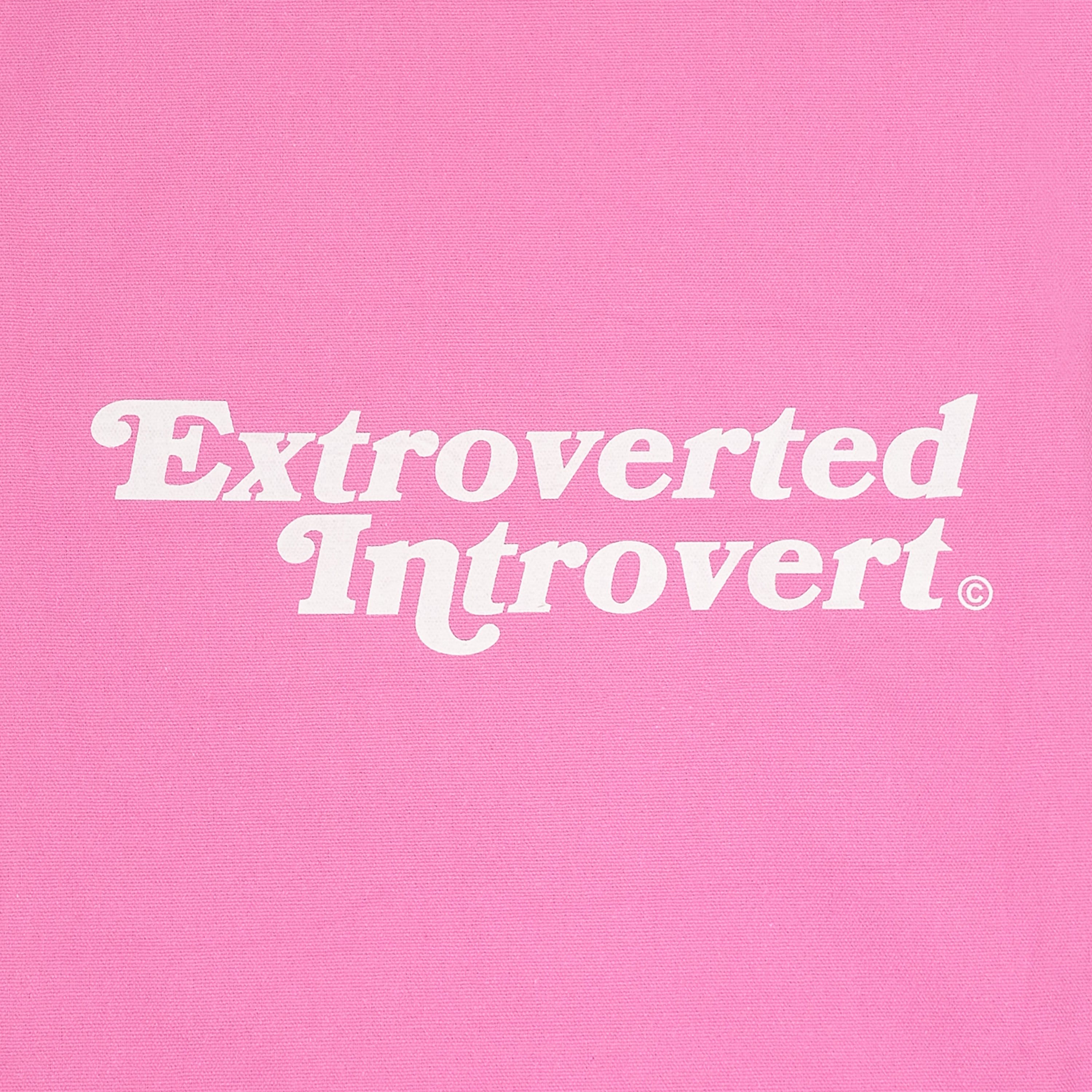 A Eckhaus Latta Shirt pictured on a model in front of a white background. The title of the product is Eckhaus Latta Eclipse Turtleneck - Stone and the image was taken by 199A®.