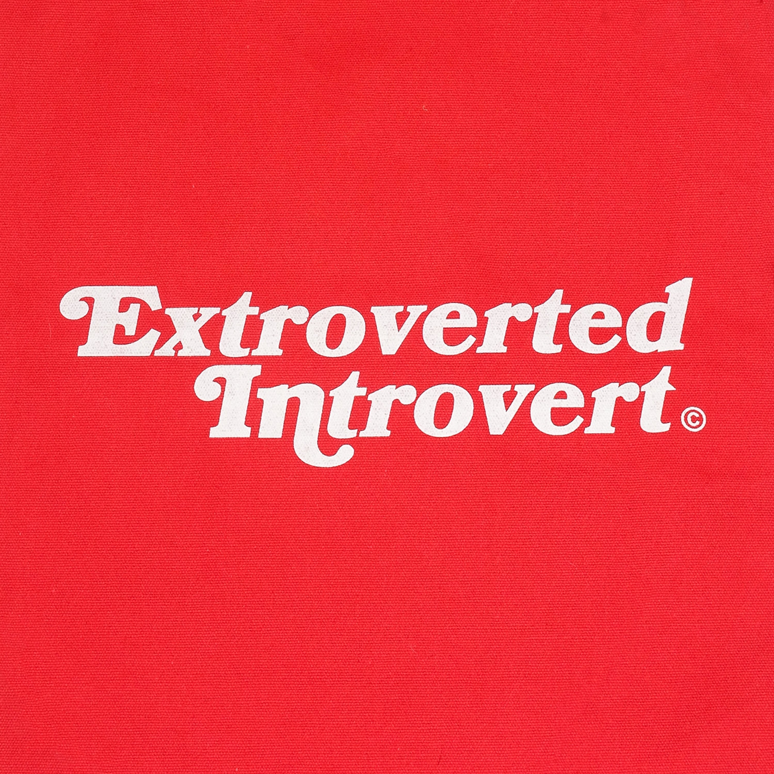 A Eckhaus Latta Shirt pictured on a model in front of a white background. The title of the product is Eckhaus Latta Eclipse Turtleneck - Stone and the image was taken by 199A®.