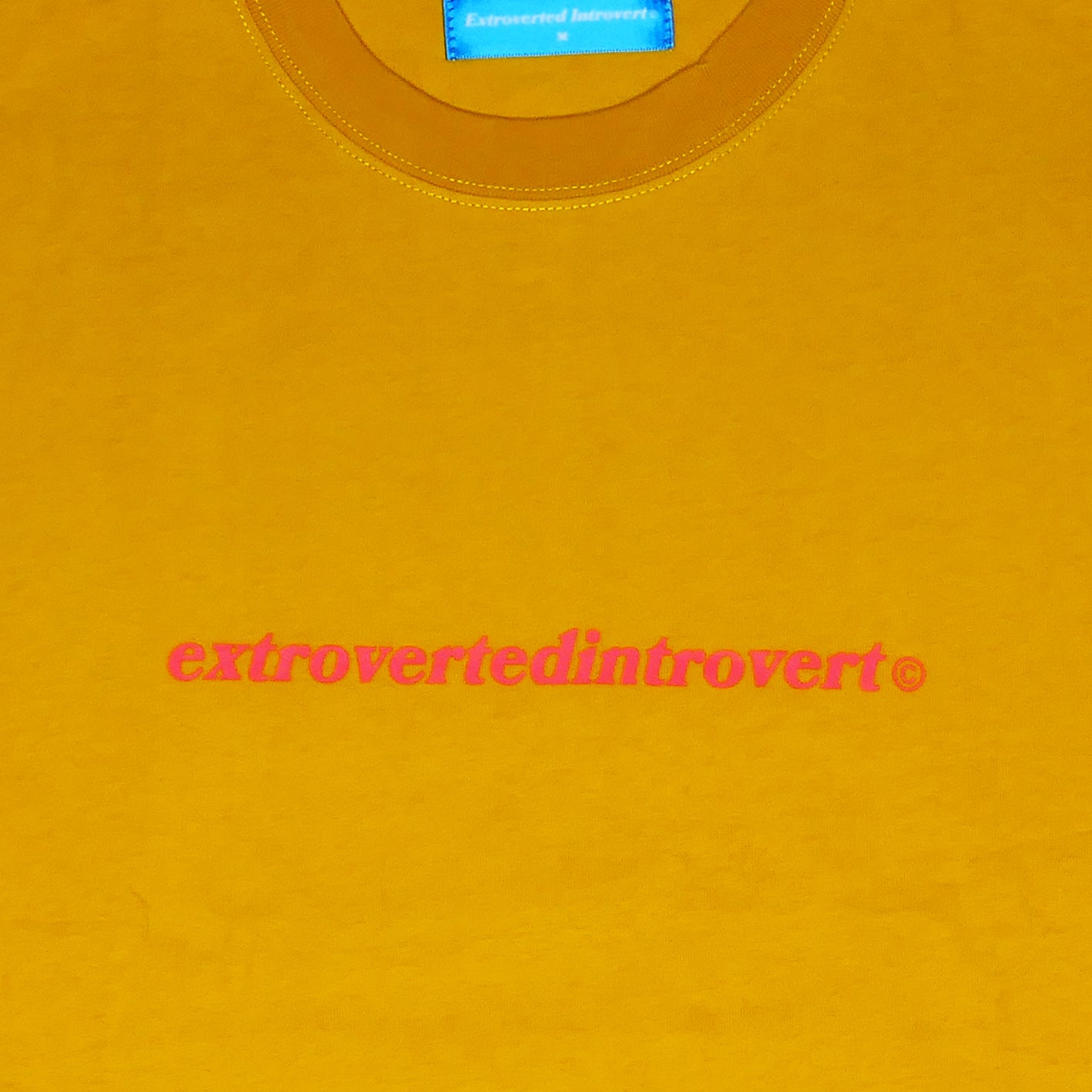 A Eckhaus Latta Shirt pictured on a model in front of a white background. The title of the product is Eckhaus Latta Eclipse Turtleneck - Stone and the image was taken by 199A®.