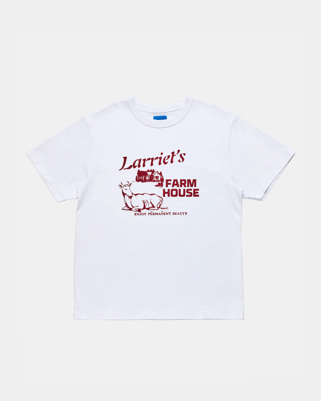 A Eckhaus Latta Shirt pictured on a model in front of a white background. The title of the product is Eckhaus Latta Eclipse Turtleneck - Stone and the image was taken by 199A®.