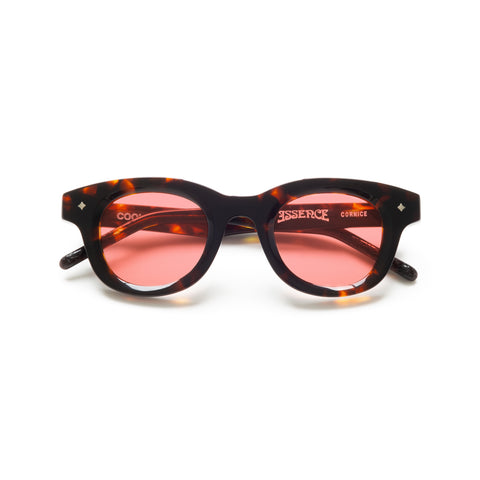 Acetate CU x Assence Cornice - Tortoise Shell